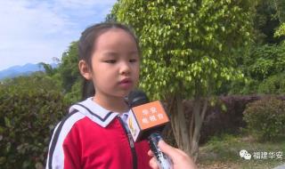 猪八戒之歌 猪八戒之歌